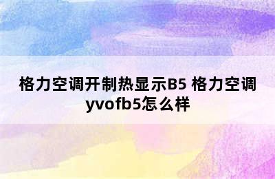 格力空调开制热显示B5 格力空调yvofb5怎么样